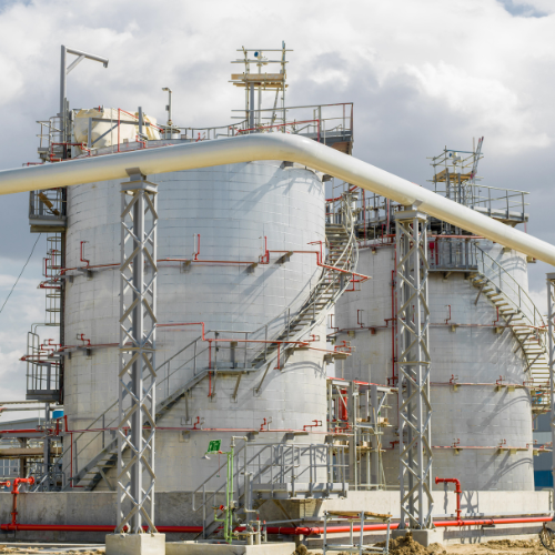 petrowomentalt-magazine